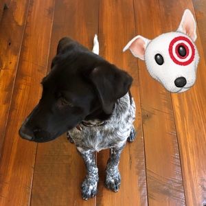 Meet your Posher, Colleen